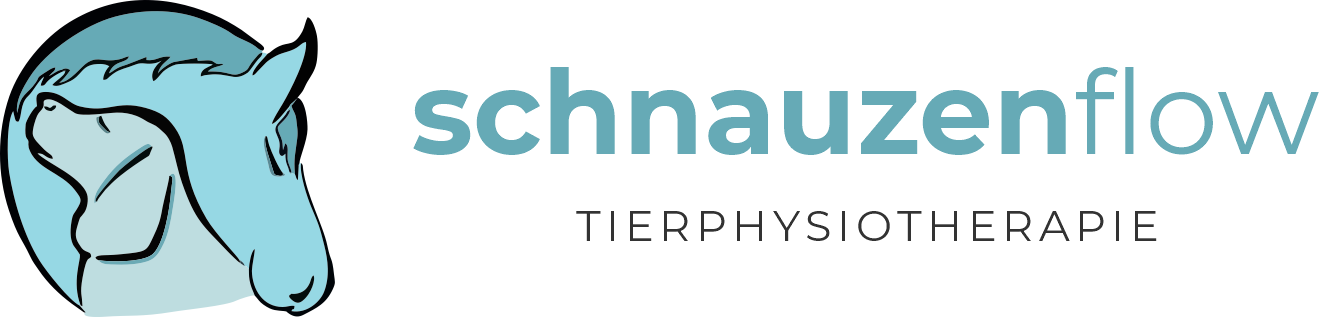schnauzenflow Tierphysiotherapie