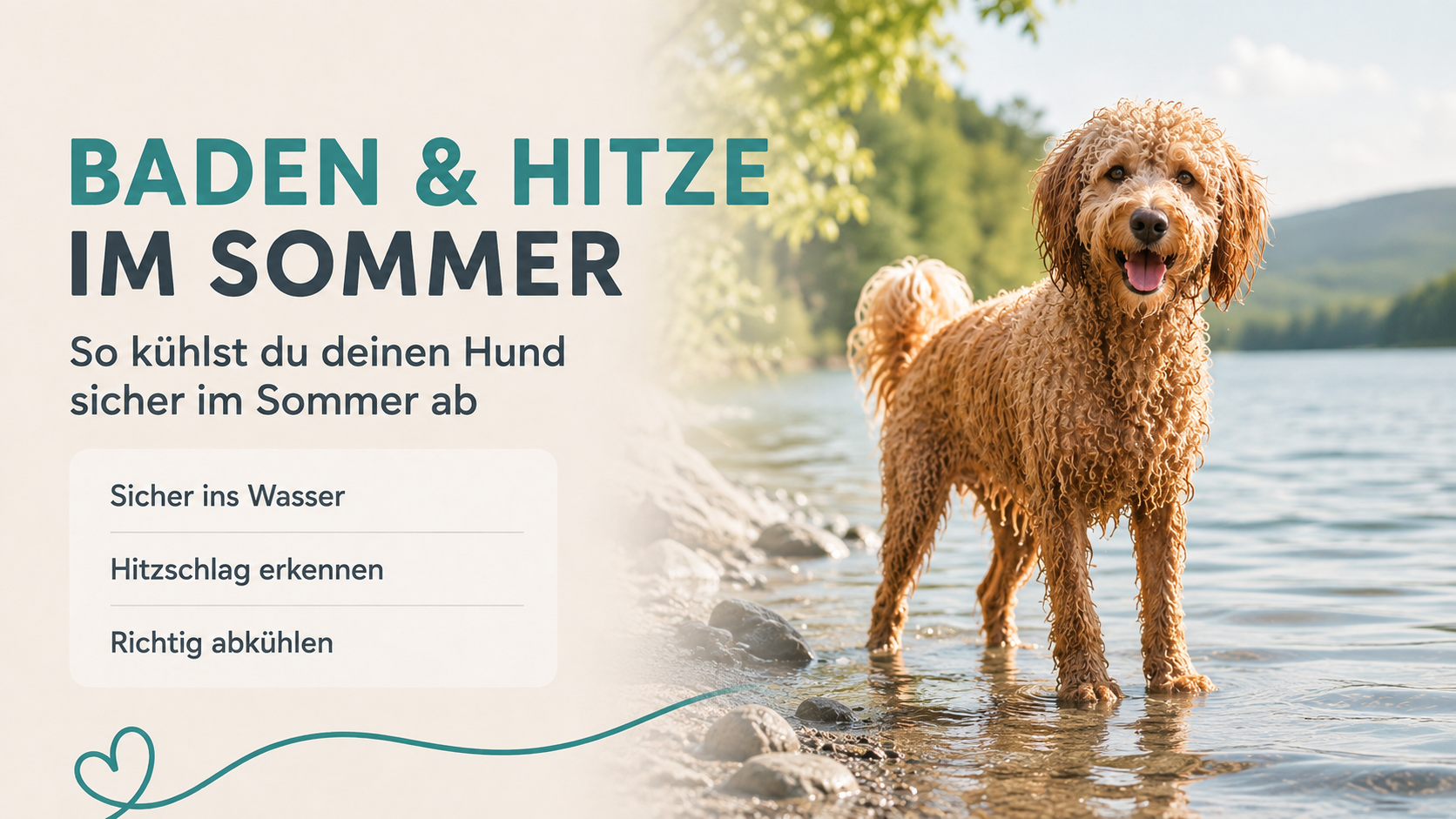 Hund bei Hitze abkühlen: Baden, Schwimmen & Hitzschlag